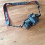 Canon EOS 80d Image 2