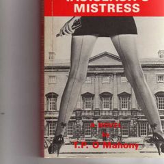 The Taoiseach's Mistress