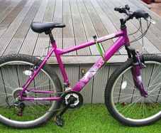 Apollo Jewel 20inch