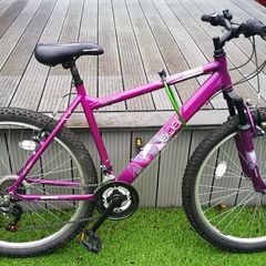 Apollo Jewel 20inch