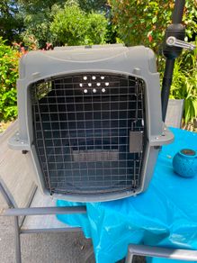 Animal transport carrier