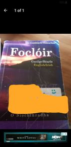 Irish Focloir