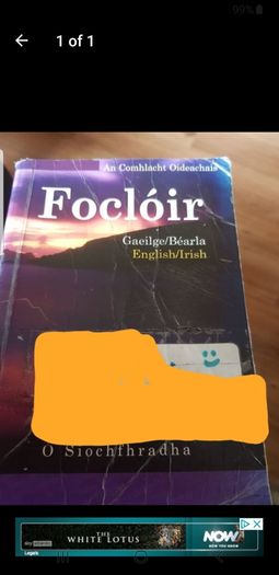 Irish Focloir