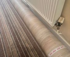 Lino for Sale