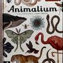 childens books  - bundle (ages 8 + ) Image 3