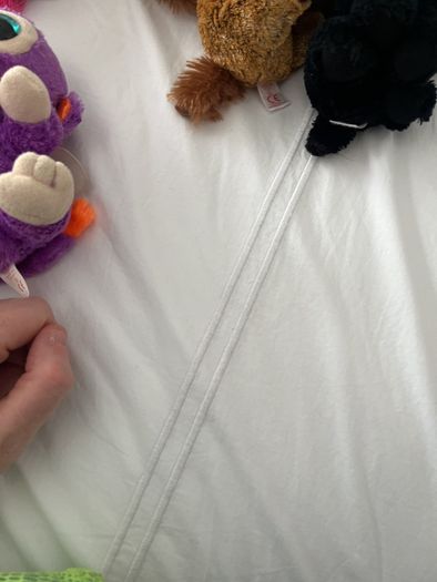 beanie boo with tags