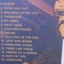 Foo Fighters - Skin and Bones (Live) CD Image 2
