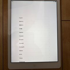 iPad Air [1st Generation, Model: 1474]