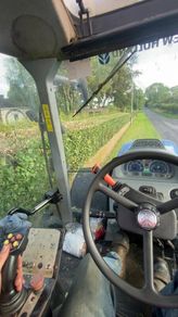 Hedgecutting
