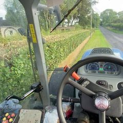 Hedgecutting