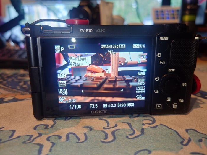Sony ZV-E10 With selp1650 and wind buff