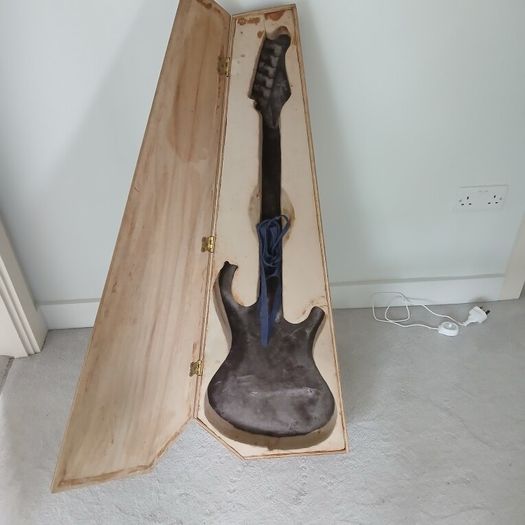 Stratocaster storage box