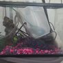 Fish tank with accessories Image 2