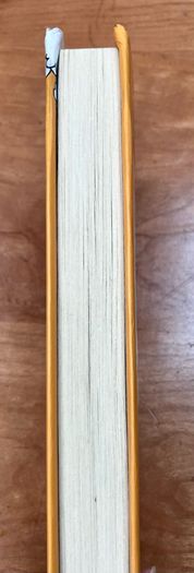 The Accidental Adventures Of Onion O'Brien, The Great Ape Escape by Jason Byrne
