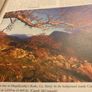 The Encyclopaedia of Ireland Image 6