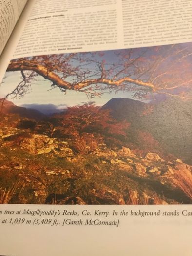 The Encyclopaedia of Ireland