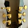Epiphone Sheraton Pro II (2021) Image 7