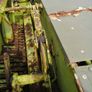 Claas Constant Square Baler Image 7