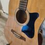 Ibanez Acoustic Guitar Image 7