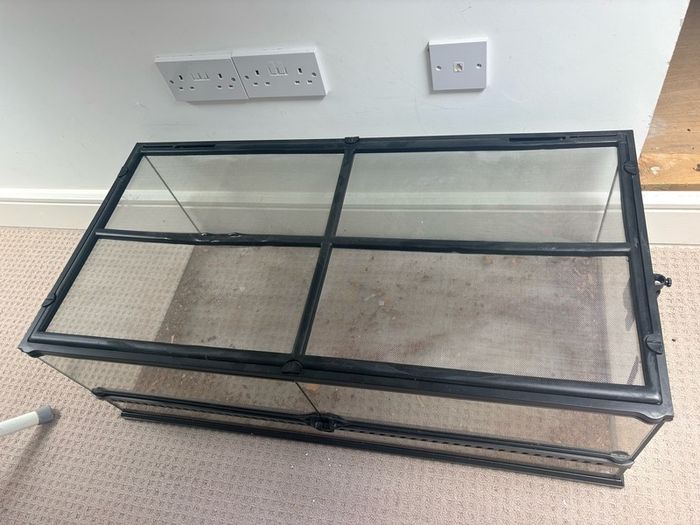 Lizard tank