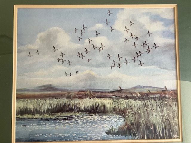 Painting - Hugh Monahan - "Widgeon Leaving the Lake, Mayo"