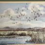 Painting - Hugh Monahan - "Widgeon Leaving the Lake, Mayo" Image 4