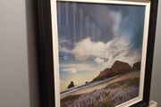 Large Picture