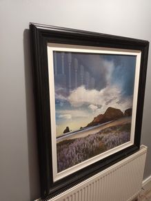 Large Picture