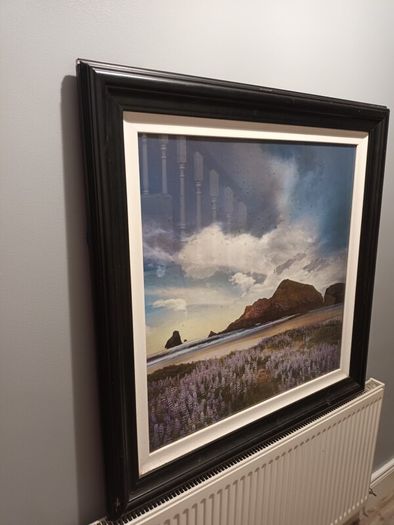 Large Picture