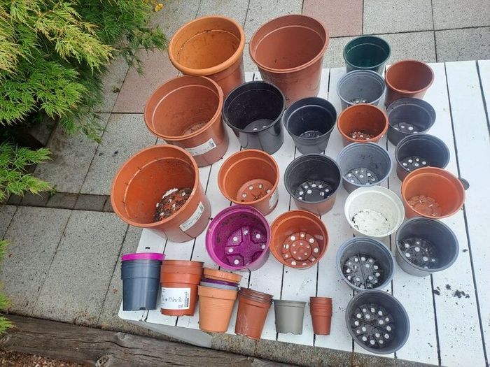 46 Plastic Plant Pots - all shapes and sizes