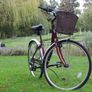 Apollo Cafe Ladies City Bike 6 Speed Large Basket 28 inch Wheels Image 4