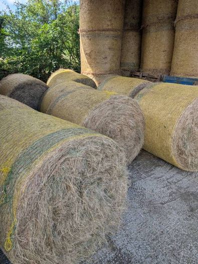 Organic Hay