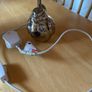 Lamp - bird Image 3