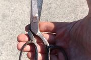 Early Twentieth Century Wiss USA Forged Tailoring Sheers