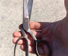 Early Twentieth Century Wiss USA Forged Tailoring Sheers