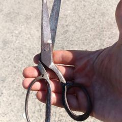 Early Twentieth Century Wiss USA Forged Tailoring Sheers