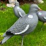 decoys Image 2