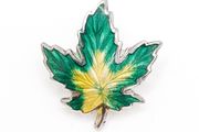 Signed Enamel Silver Brooch
