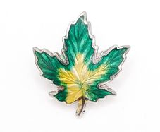 Signed Enamel Silver Brooch