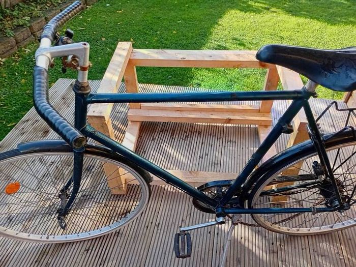 adults bike