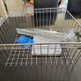 Kitchen 500mm Pull Forward Baskets Pack 2. New. Image 2
