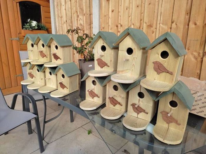 bird feeder
