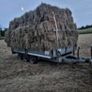 Hay Image 2