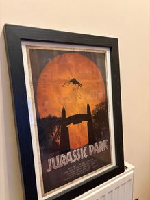 Jurassic Park Framed Print