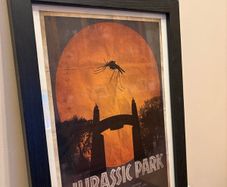 Jurassic Park Framed Print