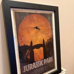 Jurassic Park Framed Print