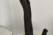 Bog Oak sculpture