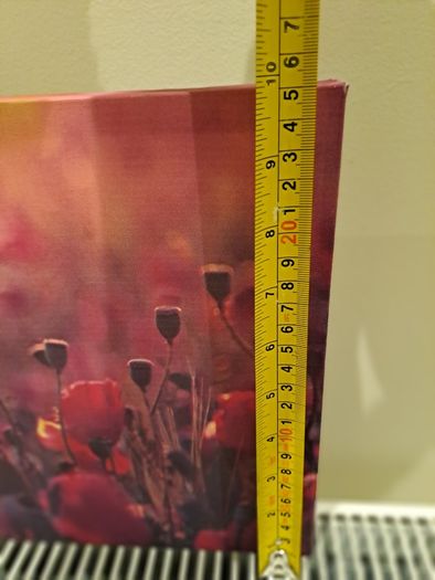 Picture of poppies canvas