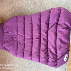 Dog Coats
