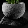 Modern 3D Printed Decorative Plant Pot Image 3